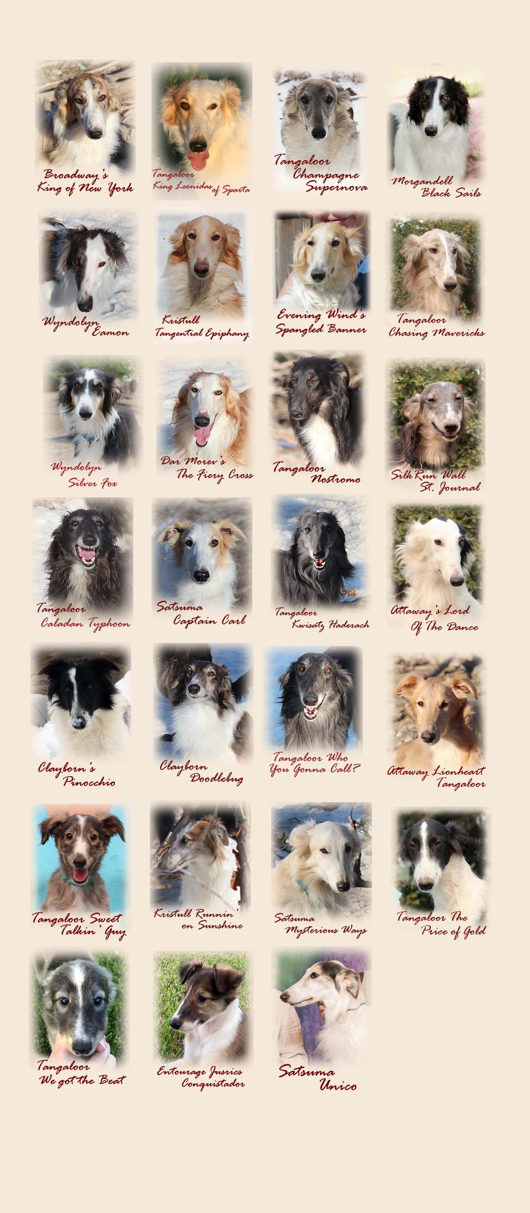 The wonderful Silken Windhound Guys at Tangaloor