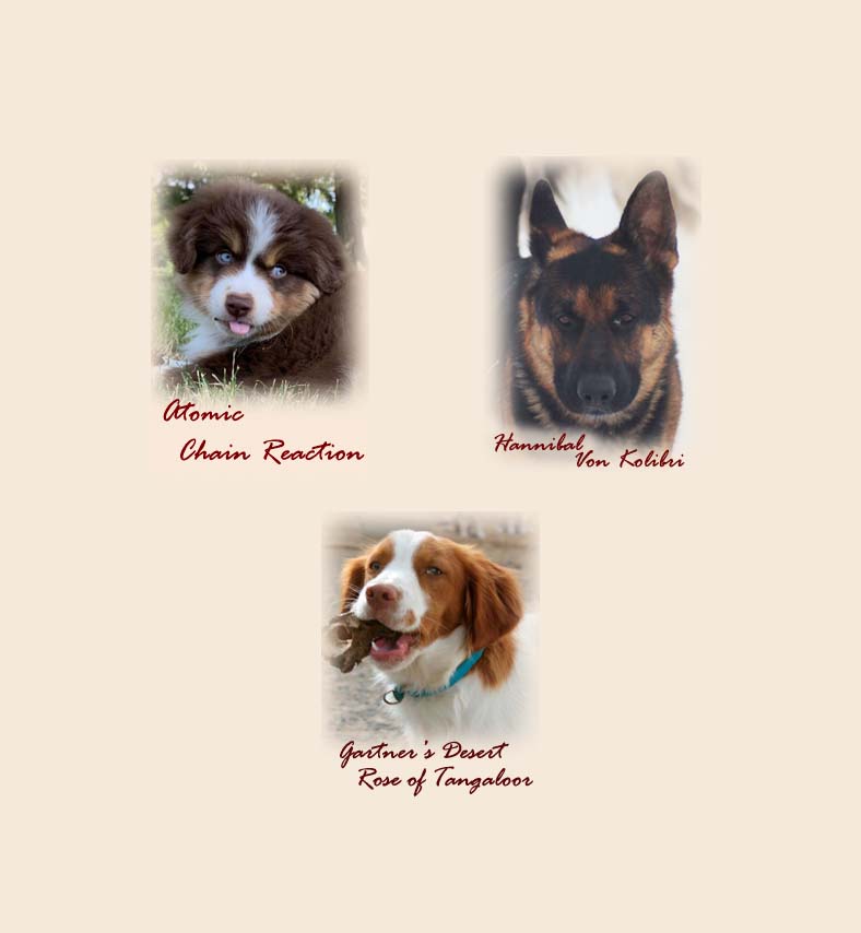 The wonderful Silken Windhound Guys at Tangaloor